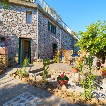 Casa William - Villa E 2 Dependance ポルト・アッズッロ エクステリア 写真