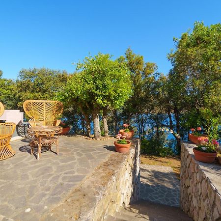 Casa William - Villa E 2 Dependance ポルト・アッズッロ エクステリア 写真